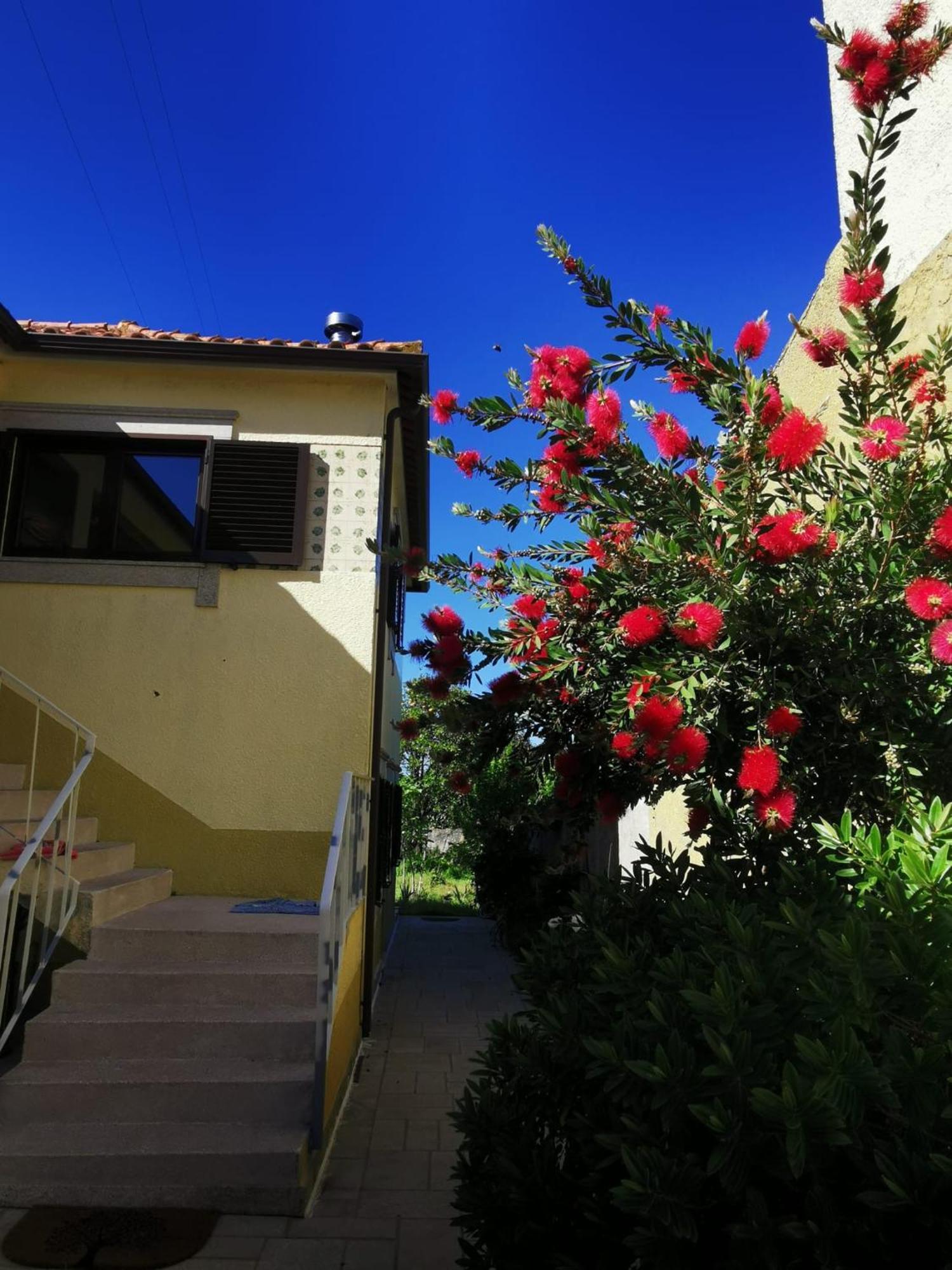 Casa Sao Pedro Belinho Only Pilgrims Acomodação com café da manhã Exterior foto